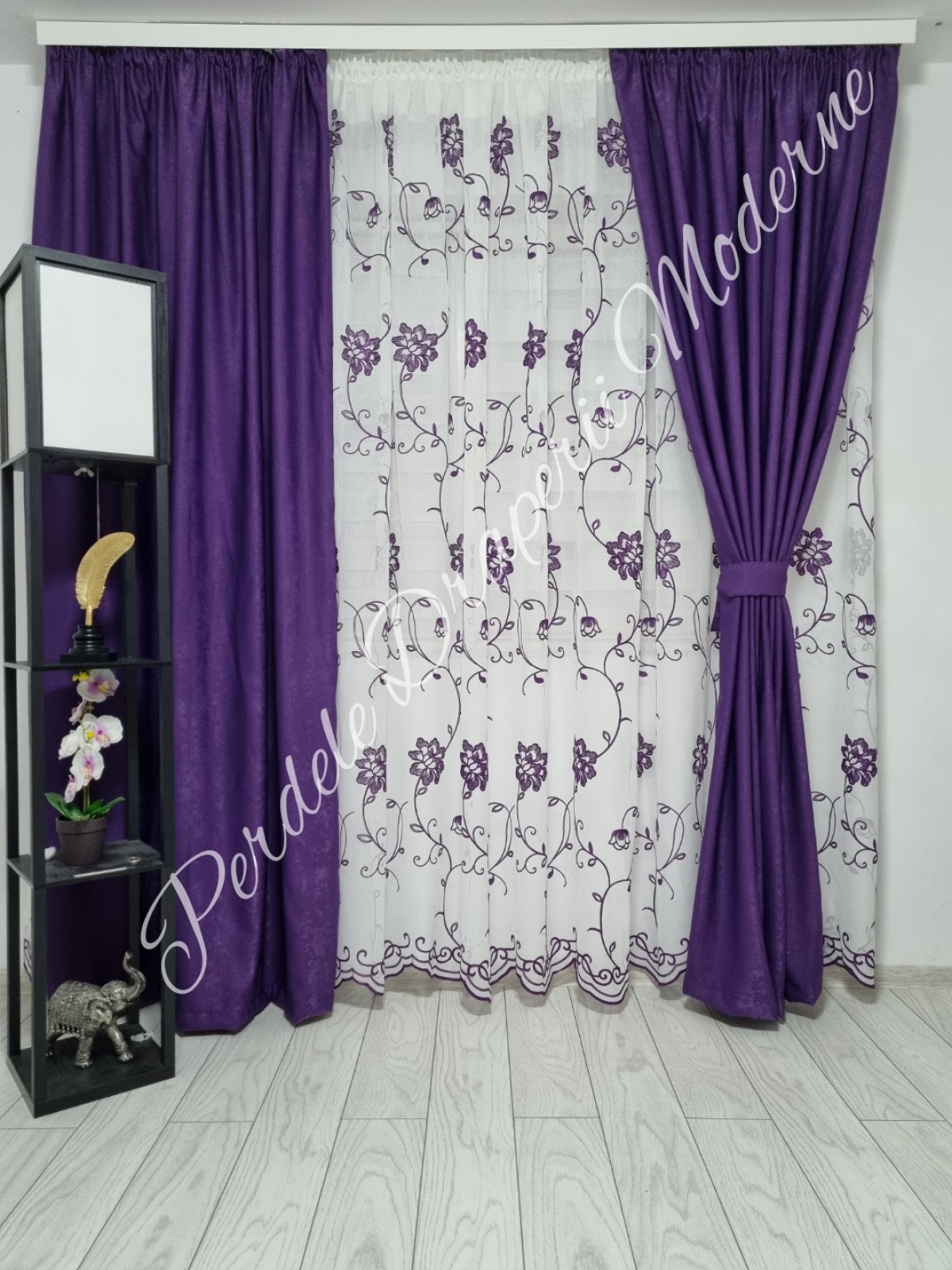 Set gladiole mov imagine 2